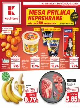 Kaufland katalog