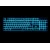 RAZER tipkovnica Ornata V3 (RZ03-04460300-R3W1)