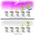 LED sijalica za uzgoj biljaka PLANTY E27/24W/230V 1200K