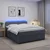 vidaXL Postelja boxspring z vzmetnico Temno siva 160 x 200 cm Žamet