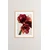 Uokvirena slika Wallity Nwyearsngmdl82, 33x48 cm