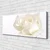 tulup.si Slika na platnu Rose flowers 120x60 cm