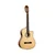 Kitara klasična elektr. 4/4 Family Pro natural RCE141NT Ortega