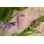 Philips Epilator Series 2000 BRE227/00, Žični, Roze