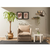 ATELIER DEL SOFA Saga Single Beige
