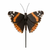 Vrtni količki v kompletu 3 ks iz poliresina Butterfly – Esschert Design