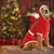 Paws & Whiskers Odelo za pse Christmassweat, Crveno