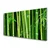tulup.si Slika na steklu Bamboo bamboo forest narava 120x60 cm 4 obešalnika