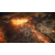 XSX SpellForce: Conquest of Eo
