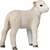 Moj Lamb romney stoji