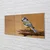 tulup.si Steklena slika Bird 120x60 cm 2 obešalnika