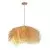 Viseća lampa F7857-1V NT