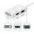 Adapter Mini DP DisplayPort na VGA/DVI/HDMI 3v1