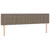 Vidaxl Box spring postelja z vzmetnico taupe 200x200 cm blago