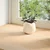 Prozorske klupice 2 kom 70x30x2 cm netretirane masivne hrast