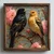Wallity Slika AI076, 50x50x3,5cm