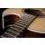 Washburn Festival EA20S - Nuno Bettencourt | Natural