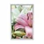 Plakat rožnata cvetoča lilija - 20x30 silver