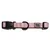 Ovratnica EXPLORER DOG Rainbow S - 24-36x1,5 cm