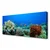 tulup.si Slika na platnu Barrier reef narava 120x60 cm