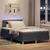 Vidaxl LED Box Spring Postelja Temno siva 120 x 190 cm blago