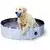 Coolpets Bazen za pse Splash - o 80 x 20 cm
