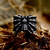 Prstan Steel Spider - SS8-1057R