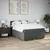 Vidaxl Box spring postelja z vzmetnico temno siva 160x200 cm blago