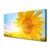 tulup.si Slika na platnu Sončnica sun flower 120x60 cm