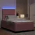 LED Box Spring Krevet Ružičasta 120 x 190 cm Baršun