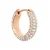 Uhani Daniel Wellington DW00400627