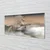 tulup.si Steklena slika Unicorn oblaki 120x60 cm 4 obešalnika