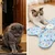 Avtomatska lovska igrača za mačke | MEOWMATIC