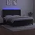 Vidaxl Box spring postelja z vzmetnico LED črna 160x200 cm žamet