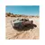 Arrma Mojave Grom 223S BLX 1:18 4WD RTR turkizna