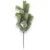Lilium jelova grana 50cm, 1x13, 162856