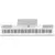 Artesia PE-88 White stage piano