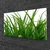 tulup.si Slika na steklu Grass nature rastlin 100x50 cm 2 obešalnika