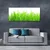tulup.si Slika na platnu Grass nature rastlin 120x60 cm