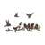 Wallity Zidna dekoracija Rusty Birds 2, 4 veličine, Braon