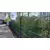 2D panelna ograda 6x5x6mm, Pocinkovana i plastificiran, 1,43x2,5 m, Antracit