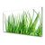 tulup.si Steklena slika Grass on wall 120x60 cm 2 obešalnika
