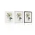 Plakat rastline v boho stilu - 40x60 white