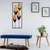 WALLXPERT Asil