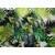 Decormat Vinilna preproga Palm listi 140x210 cm
