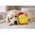 Havhav 1046 Yellow Dog Toy