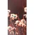 Fototapeta bombažna trava - 147x270