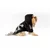 Paws & Whiskers Odelo za pse Danger Hoodie, Crno