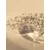 Venture Design Plakat White flowers 70x100 cm Bež