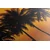 Slika sončni zahod nad palmami - 200x100